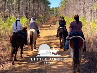 A group sets out on a scenic trail ride at Little Creek Ranch, following quiet backroads and forest paths for a laid-back countryside experience.