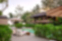 _MG_8683_edited.jpg