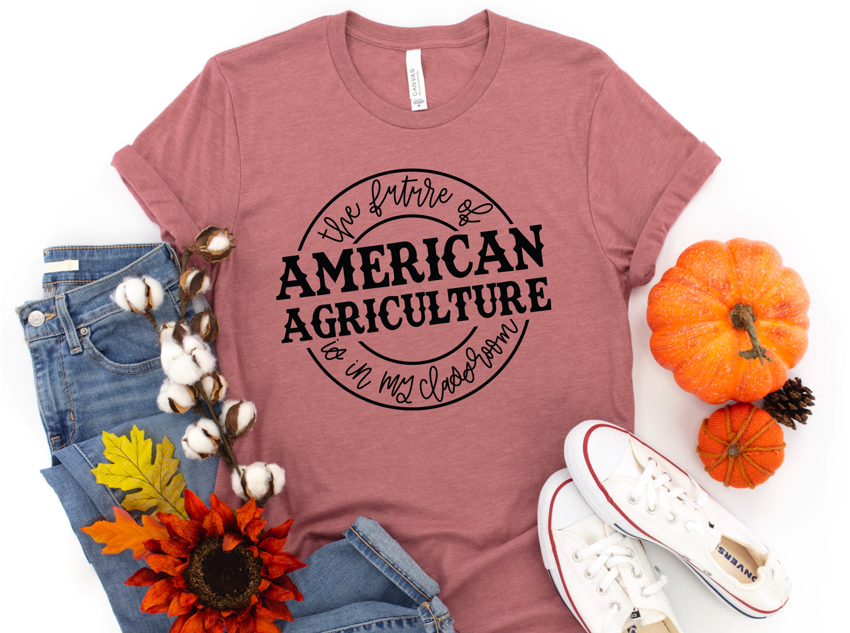 The Future of American Agriculture is in my Classroom