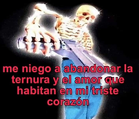 imagen_2025-08-16_124313514.png