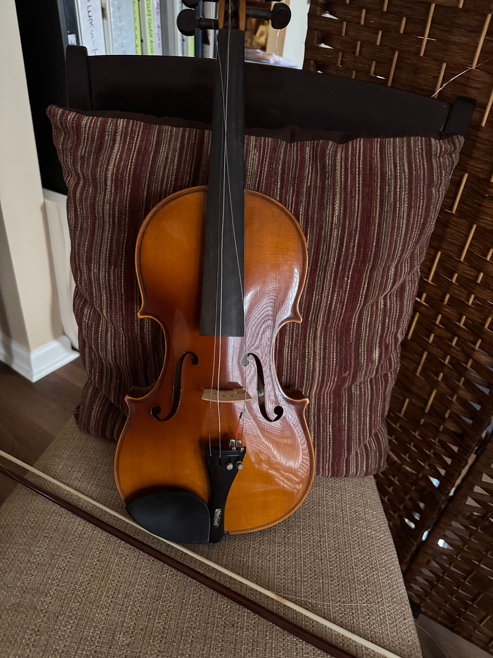 Violin
