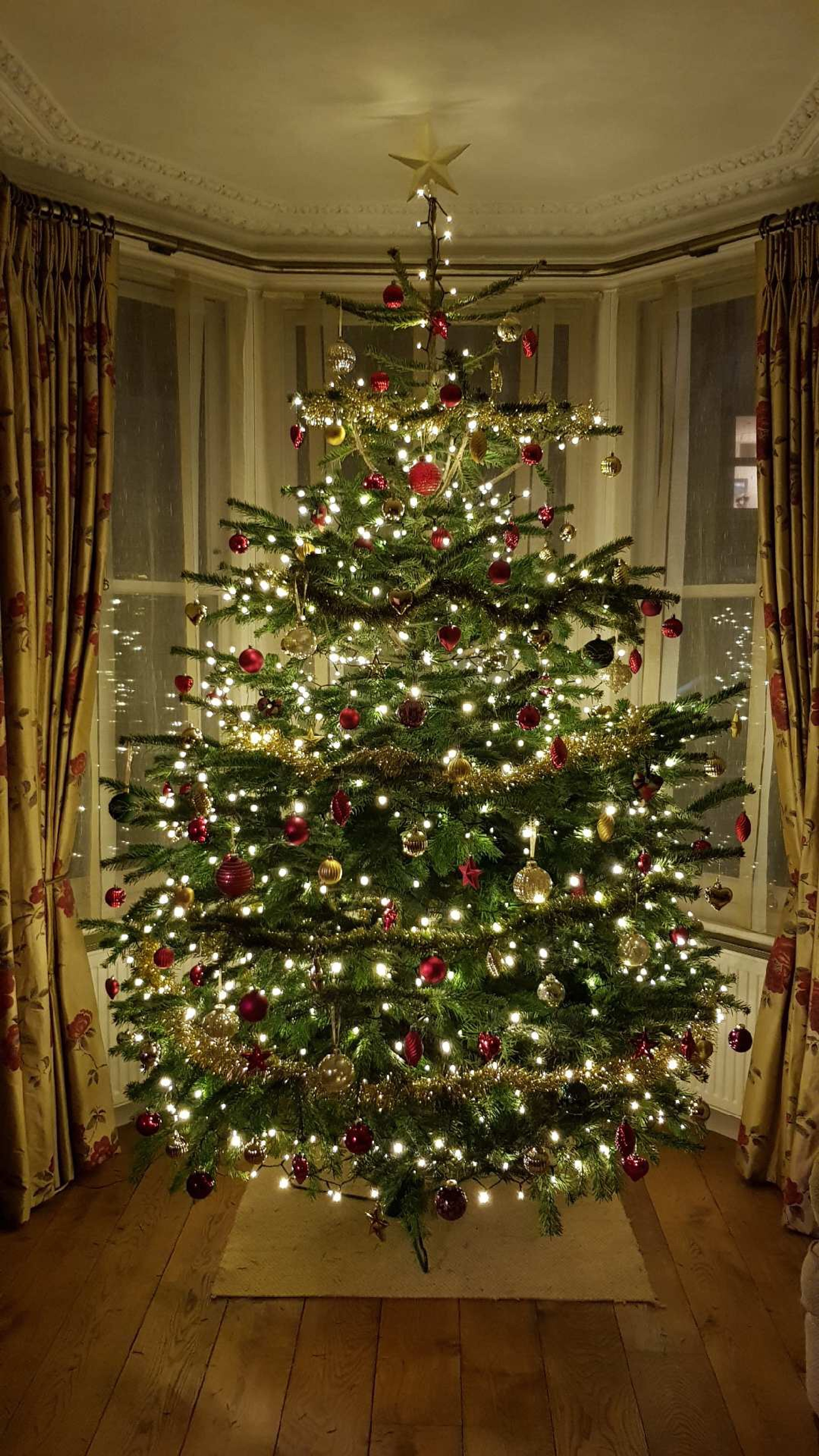 Christmas Tree Delivery Tree Care Surrey Xmas Trees