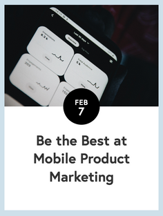 Pursue and Persuade Website