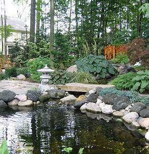 backyard pond installation Mid Michigan natural landscape