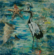 Wonders of the Sea