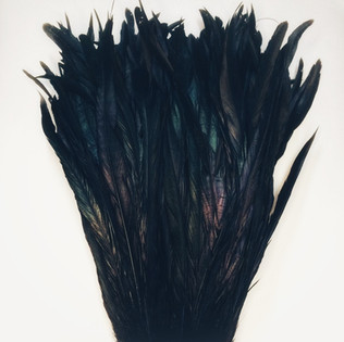 NEGRO
