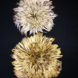 BADGER NATURAL PL183