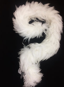 gallo blanca