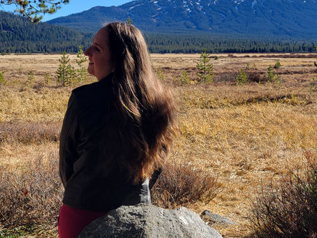 Woman with long hair sits on a rock, smiling at a snowy mountain in the distance. Sunny landscape with dry grass and pine.