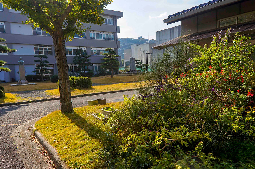 秋の愛媛大学9.jpg