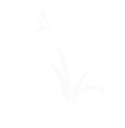 CND Logo_.png