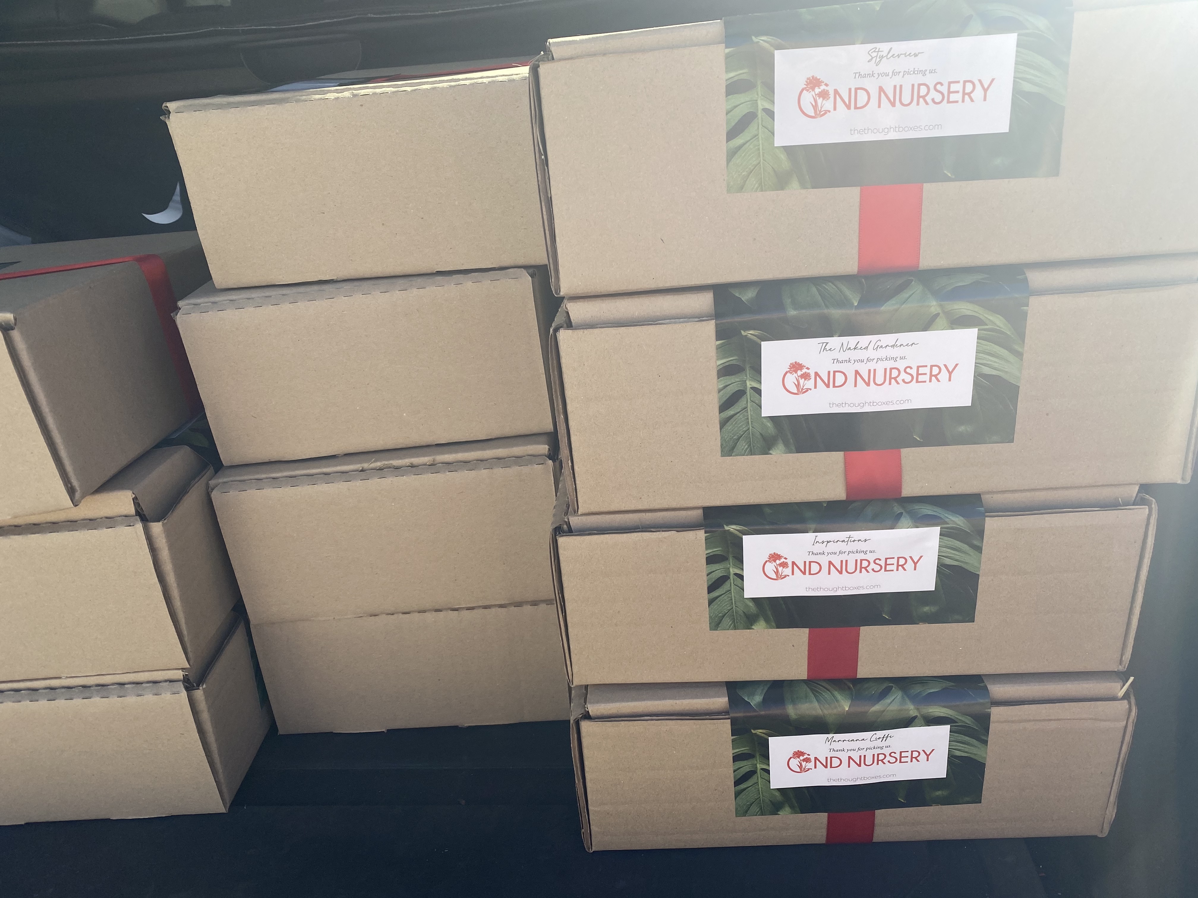 Thoughtbox The thought boxes Gauteng