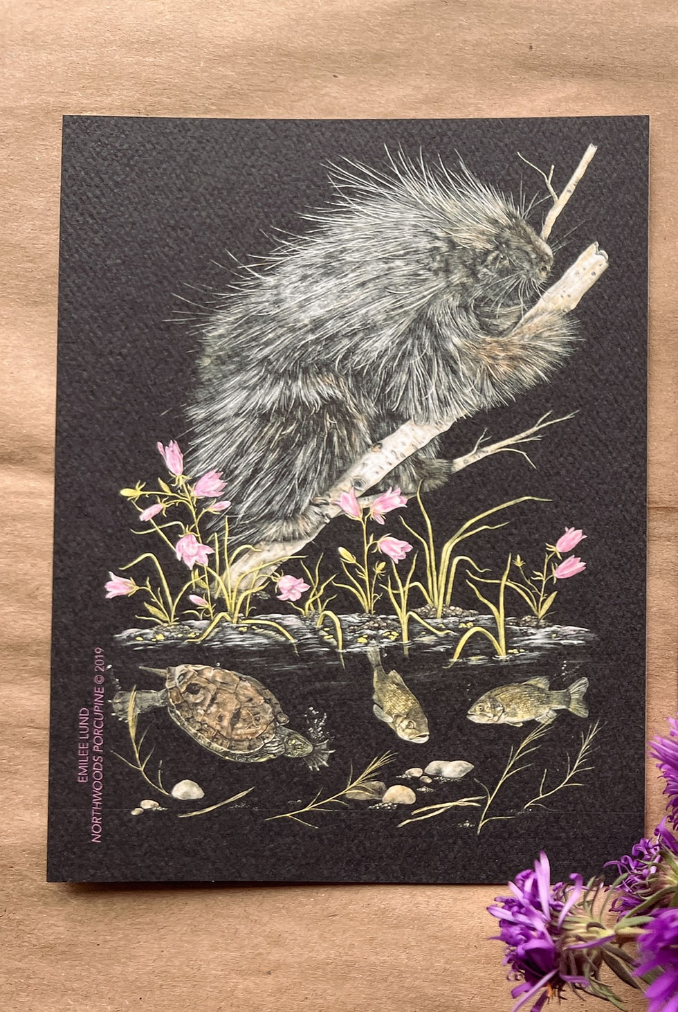 Thumbnail: Northwoods Porcupine Postcard