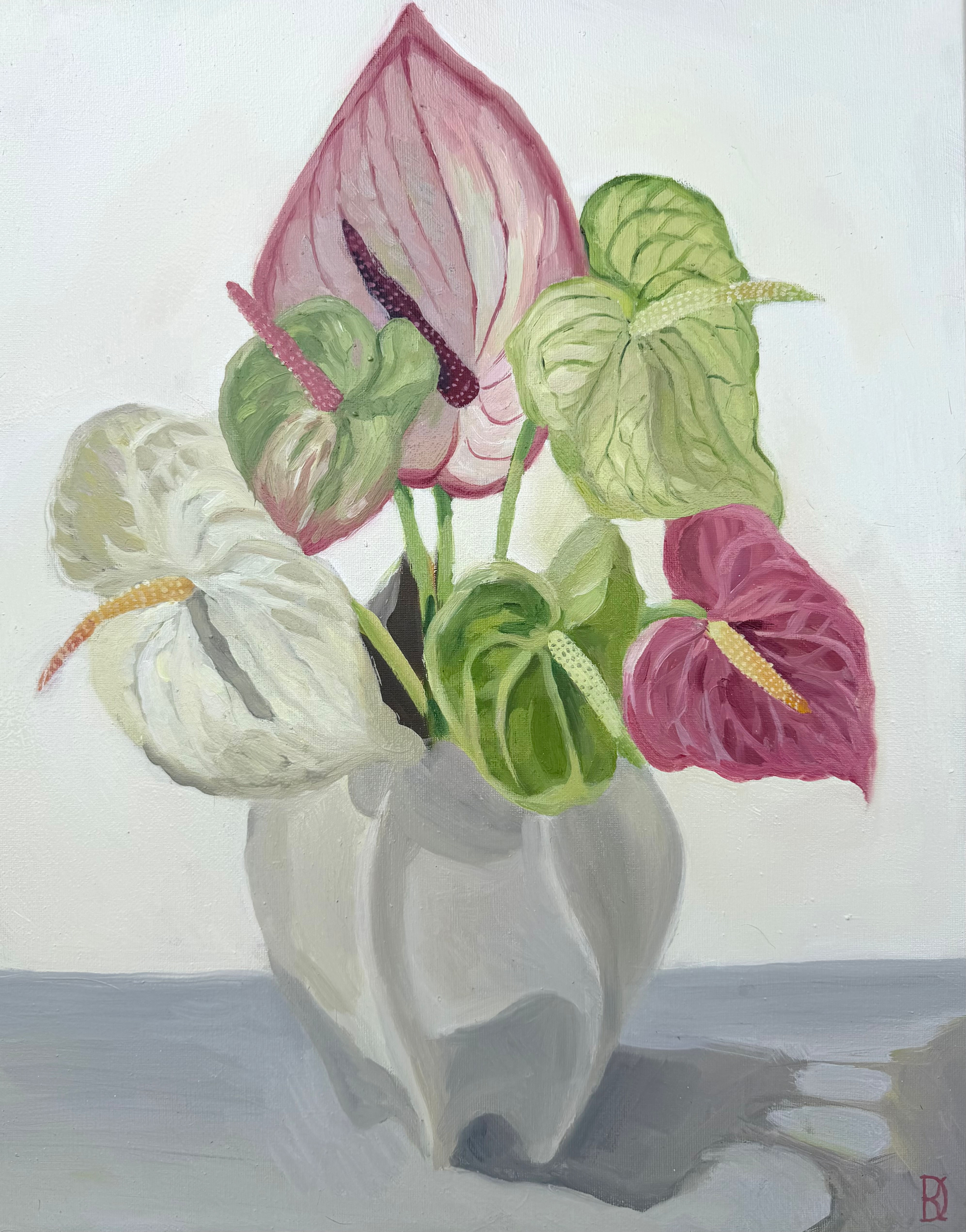 Anthurium