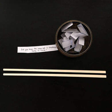 Game: Practise Using Chopsticks!