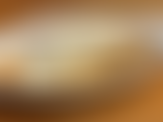 SOLD OUT- Christmas Lasagna Trays!