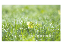 『意識の領域』