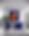 IMG_2503.PNG