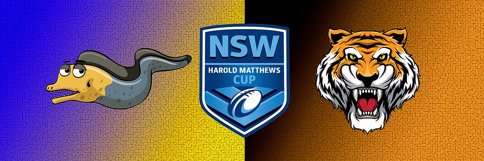 Round 6. Parramatta Eels v Balmain Tigers