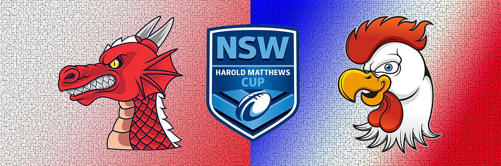 Round 2. St George Dragons v Sydney Roosters