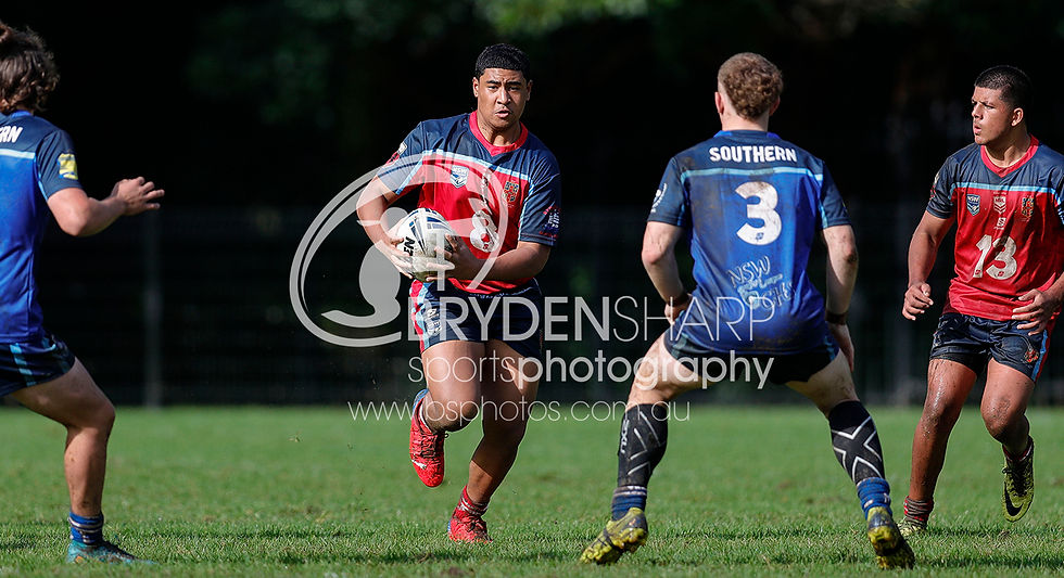 22REDvSTH15s058
