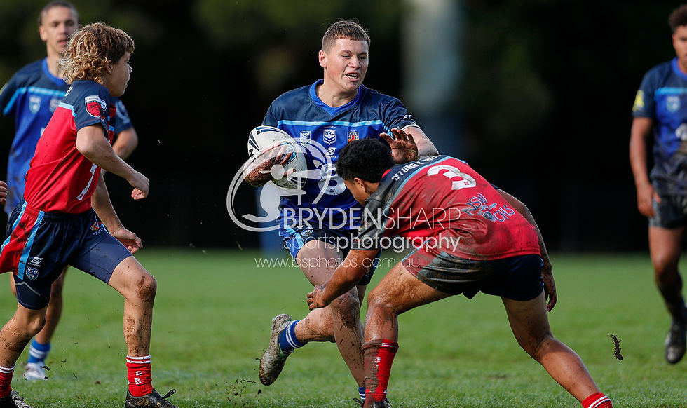 22REDvSTH15s015