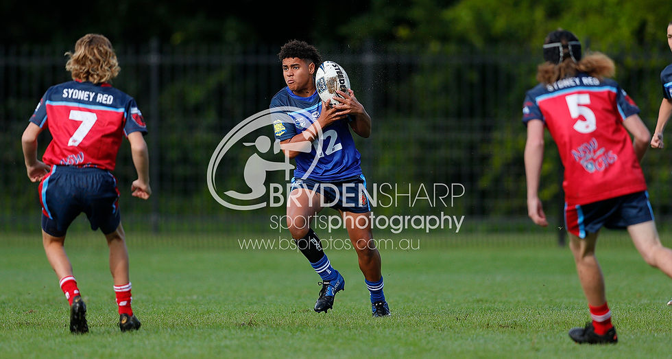 22REDvSTH15s004