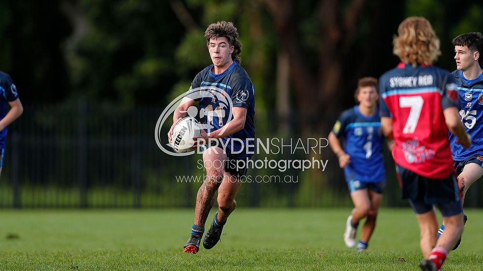 22REDvSTH15s050