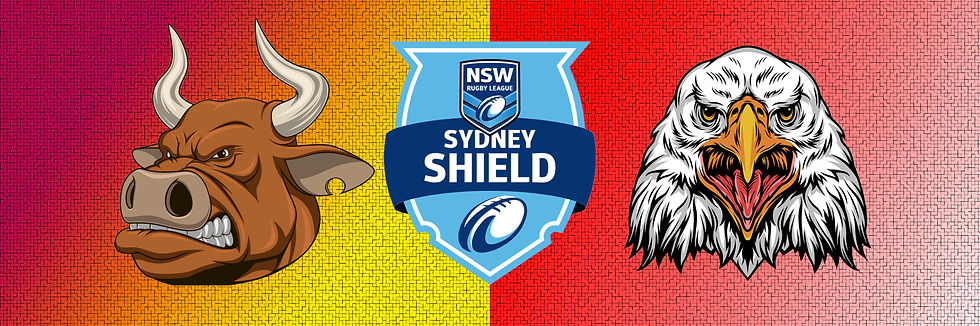 Round 8. Hills District Bulls v Ryde Eastwood Hawks