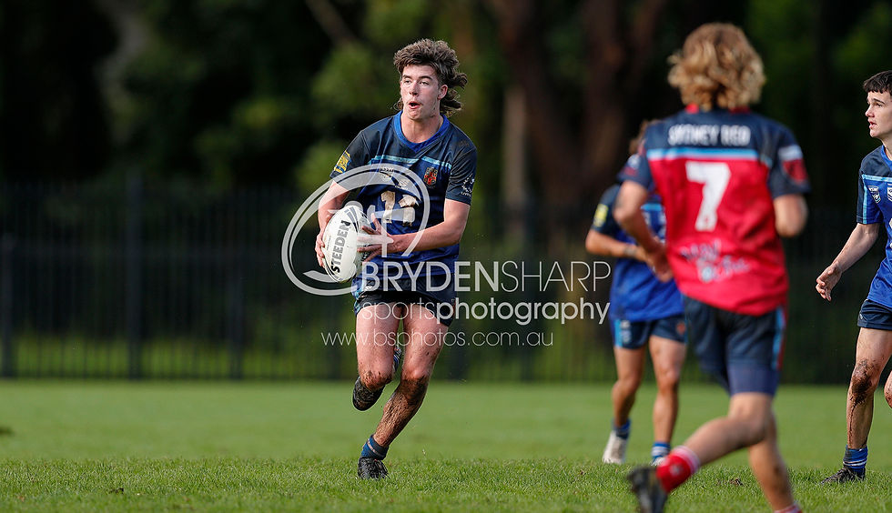 22REDvSTH15s049