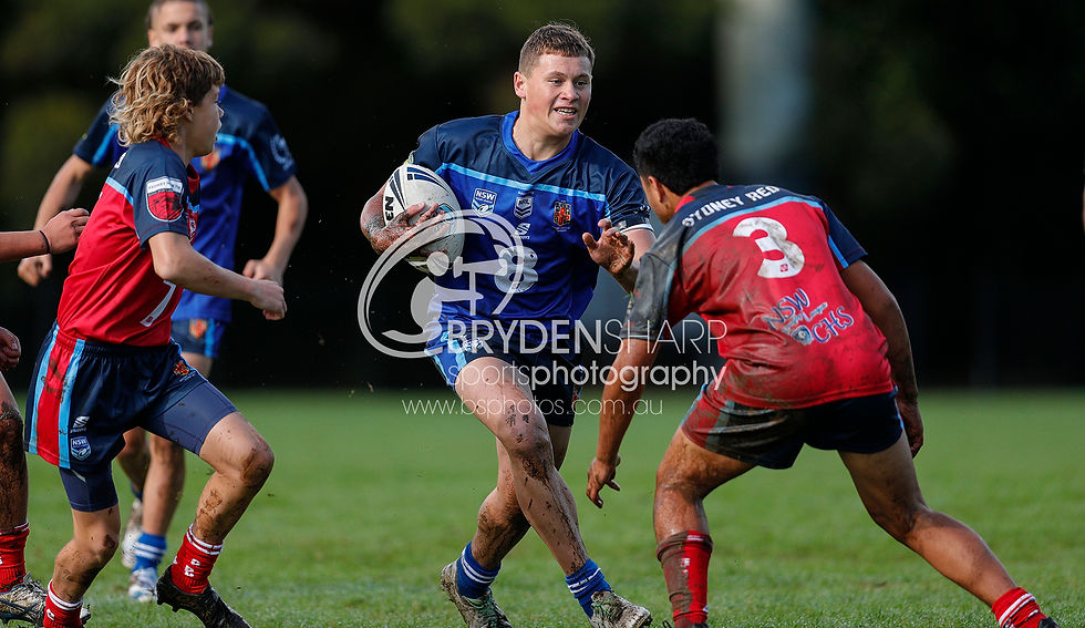 22REDvSTH15s014