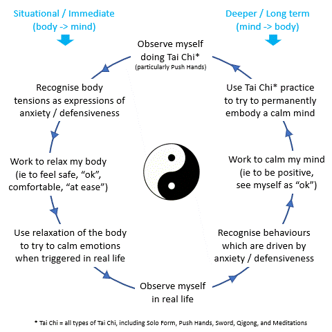Tai Chi in my Life.gif
