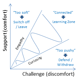 challenge vs support, coaching connection