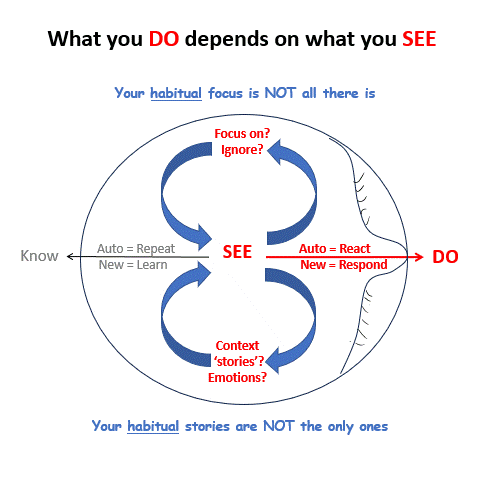 Being your best (simplified).gif