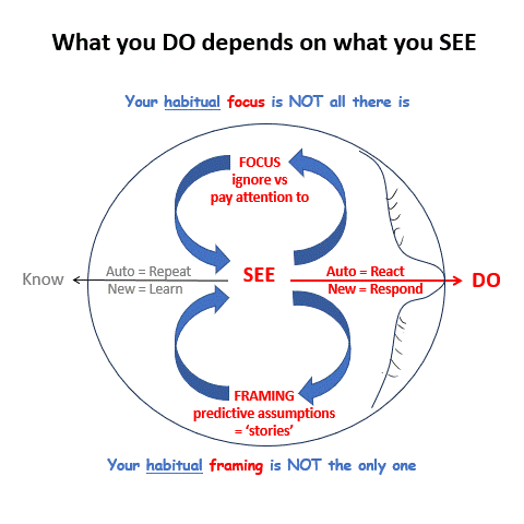 Being your best (simplified).gif