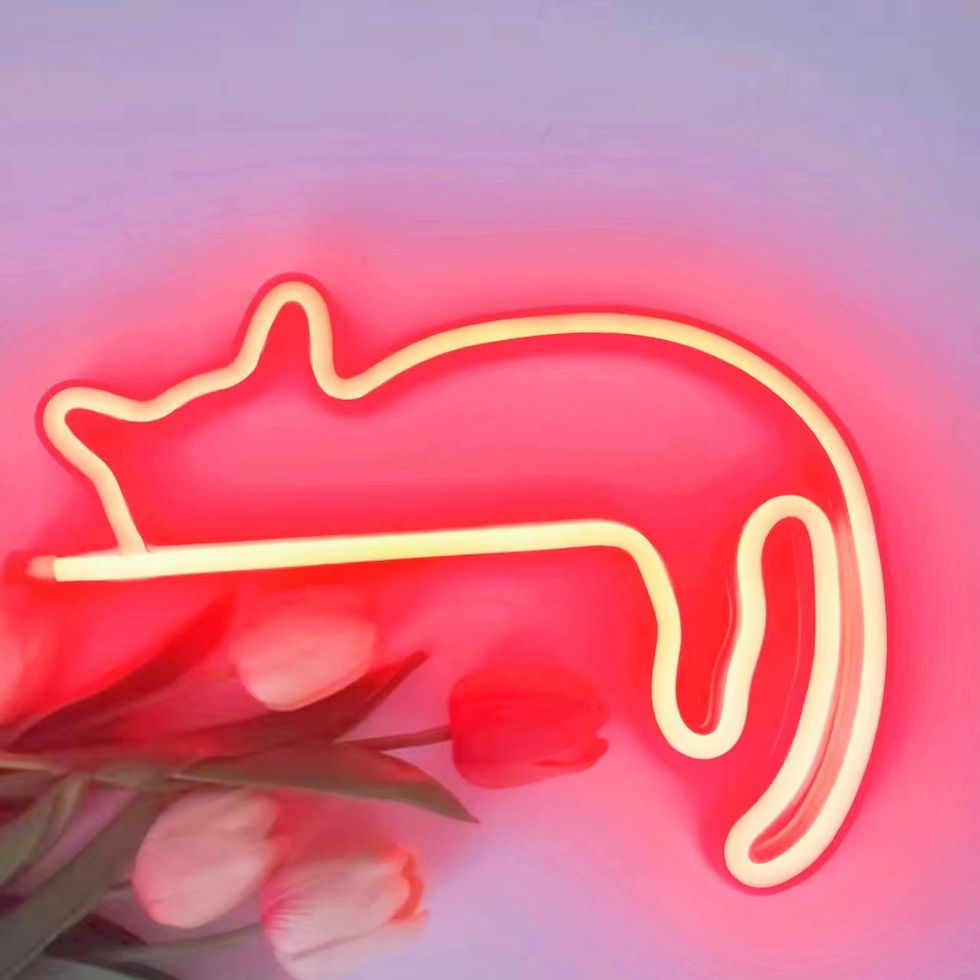 Thumbnail: Cat Neon Sign for Wall Decor Led Light up Sign Decor Pet Store Animal Club USB f
