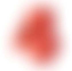 4 Simple Steps to Success