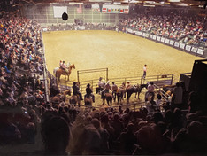 Butte Civic Center Rodeo