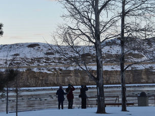 Spread Your Wings this Holiday Season : Join the Christmas Bird Count