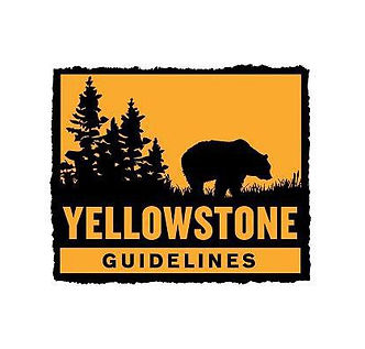 logo-yell-guidelines.jpg