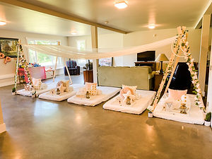Canopy Tent