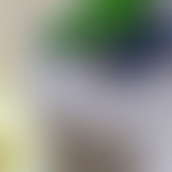 Mama's Power Smoothie