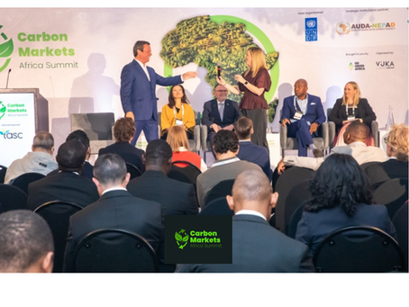 Beyond the carbon credit: Who sets the terms for Africa’s carbon markets?