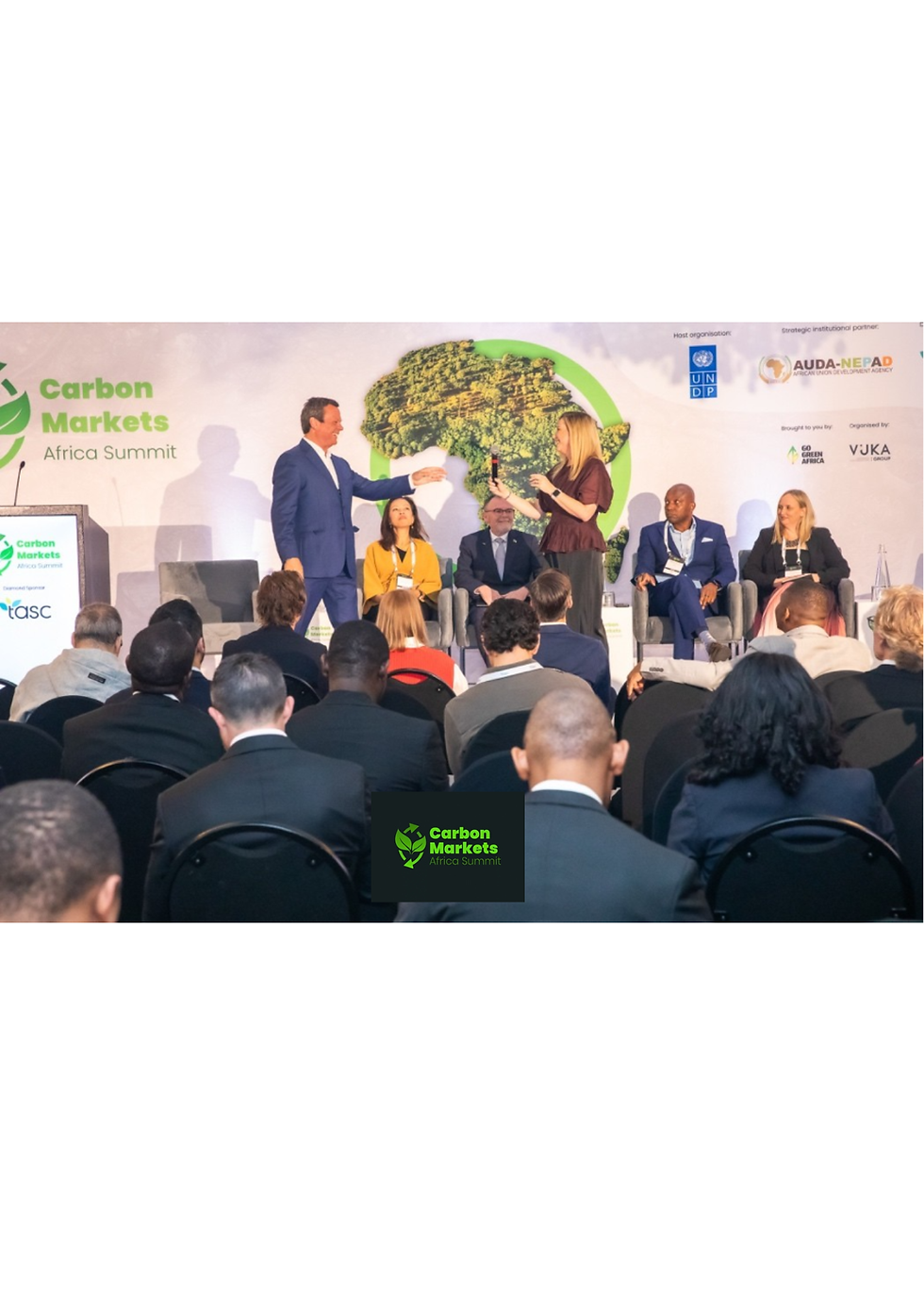 Beyond the carbon credit: Who sets the terms for Africa’s carbon markets?
