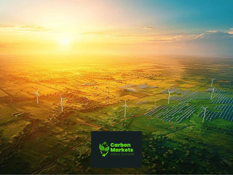 Africa’s carbon markets gain momentum as climate finance opportunities expand