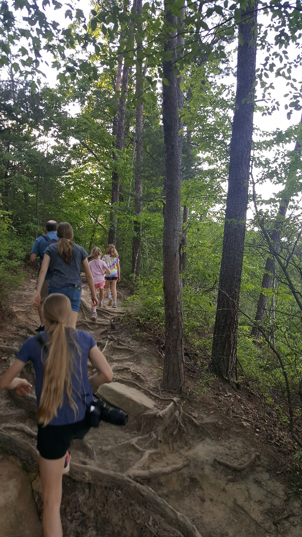 Hiking at Natural Bridge State Park