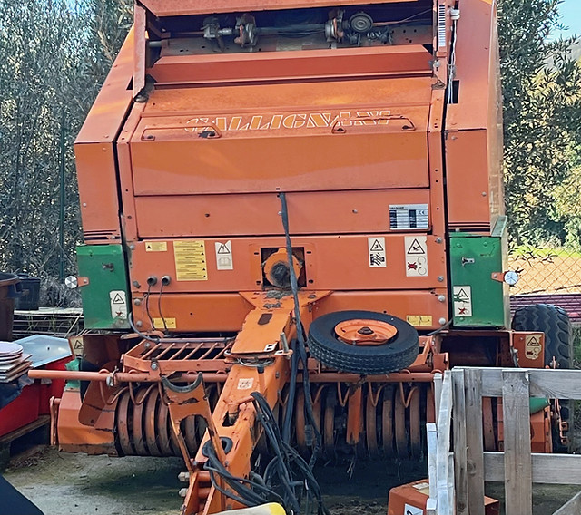 RIF1057 (2)_edited_edited.jpg