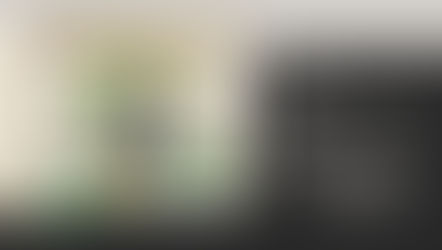 Inos Budrytės kūrybos katalogo pristatymas