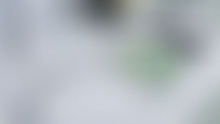 Rūtos Butkutės personalinė paroda „Somersault”