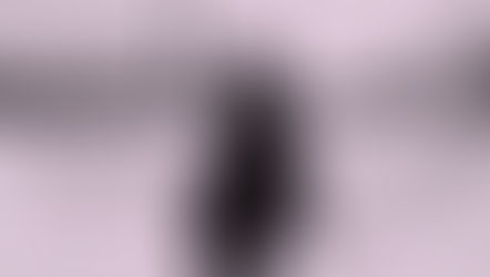 Kultūra per karantiną